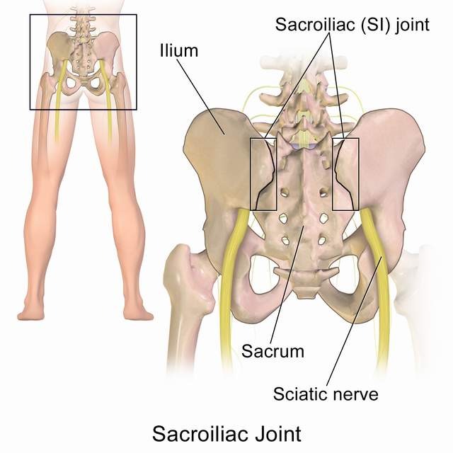 Sacroiliac_Joint_640.jpg